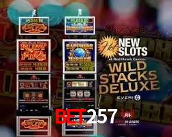 Experimente o Login Seguro Premium no bet257